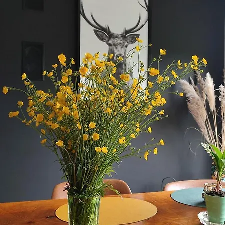 ホームステイ Fredhousedurbuy 1 デュルビュイ