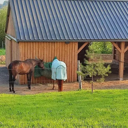 Fredhousedurbuy 1 ホームステイ *