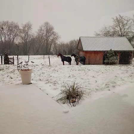 Séjour chez l'habitant Fredhousedurbuy 1