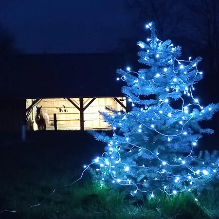 Fredhousedurbuy 1 ホームステイ